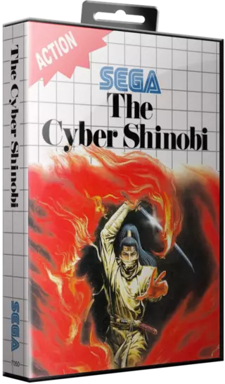 jeu Cyber Shinobi, The